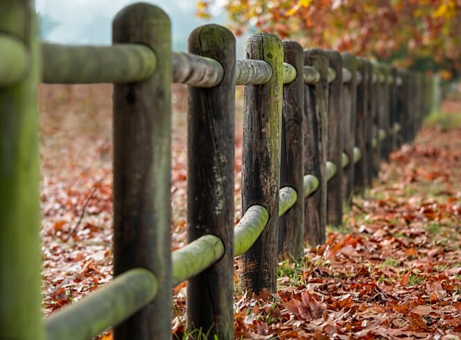 fence-posts-2331414_1280