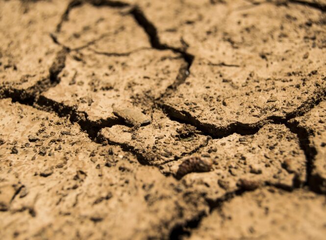 Image par Luis Iranzo Navarro-Olivares de Pixabay – sécheresse