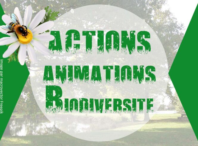 ABC animations