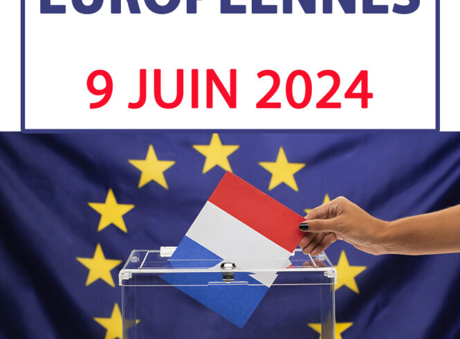 ELECTIONS EUROPEENNES copie